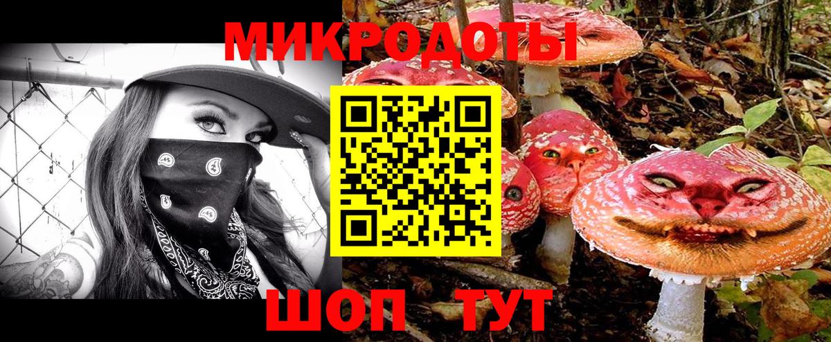 Галлюциногенные грибы прущие грибы Пушкино